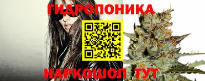 spice Кулебаки