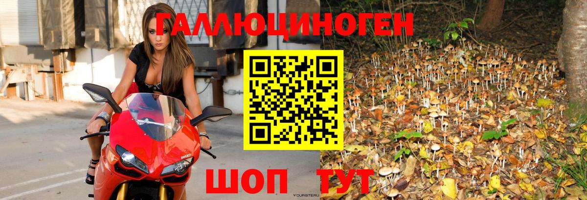 Alpha-PVP Ейск
